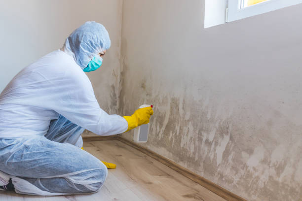 Licensed Crawl Space Mold Removal service in Freeport, IL - WQB Mold Removal