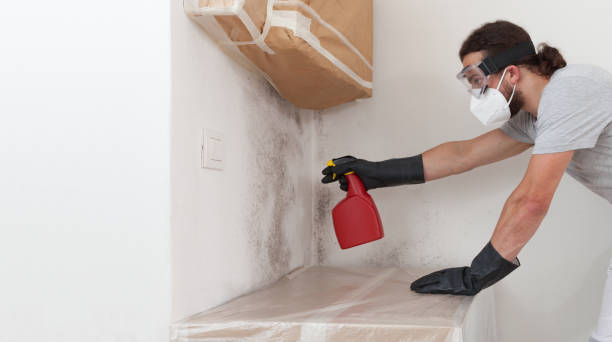 Professional Crawl Space Mold Removal technician working in Freeport, IL