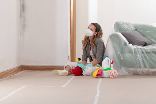 Reliable Crawl Space Mold Removal contractor in Freeport, IL by WQB Mold Removal